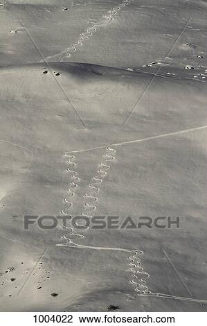 Stock Image - Ski tracks on mountain slope. Fotosearch