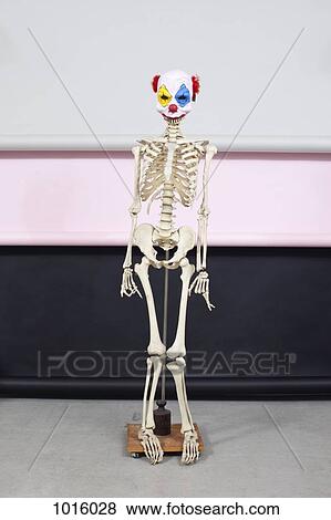 Standing skeleton with clown mask. View Large Illustration Stock Illustration - Standing skeleton with clown mask.. Fotosearch