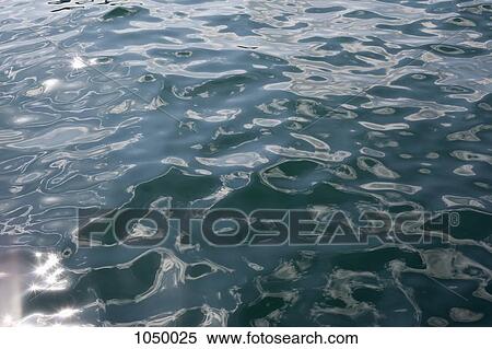 Sunlight on rippled water, full frame View Large Photo Image Stock Photography - Sunlight on rippled water, full frame. Fotosearch