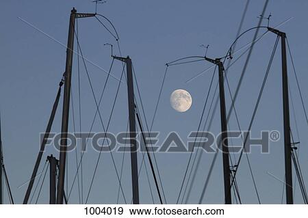 Stock Photo - The masts of sailboats, dawn, moon in background. Fotosearch