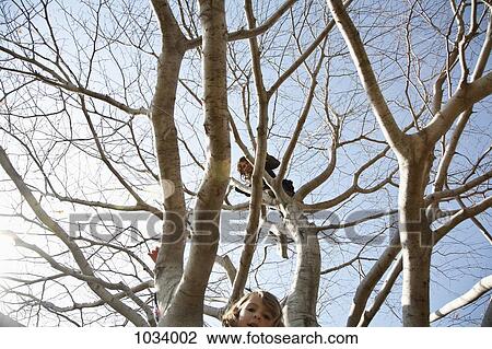 Two young girls climbing a tree View Large Photo Image Stock Image - Two young girls climbing a tree. Fotosearch