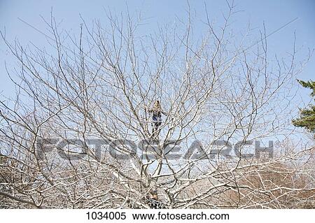Stock Photography - Two young girls climbing a tree. Fotosearch