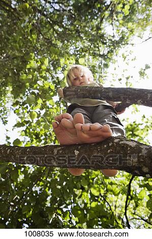 View from below of a child standing in a tree View Large Photo Image Stock Photography - View from below of a child standing in a tree. Fotosearch
