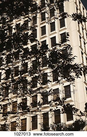 Stock Image - View of Tower block obscured slightly by branches of tree. Fotosearch
