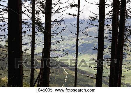 View through trees of a valley View Large Photo Image Stock Photography - View through trees of a valley. Fotosearch