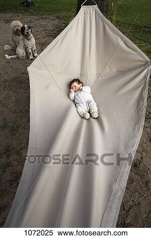 A baby lying in a hammock, two dogs in background View Large Photo Image Stock Photography - A baby lying in a hammock, two dogs in background. Fotosearch