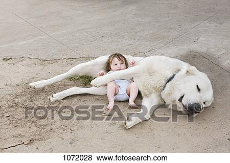 A baby lying with a dog View Large Photo Image Stock Photo - A baby lying with a dog. Fotosearch