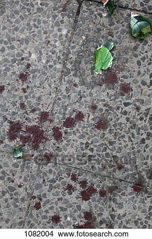 A broken beer bottle and splattered blood on a sidewalk View Large Photo Image Picture - A broken beer bottle and splattered blood on a sidewalk. Fotosearch