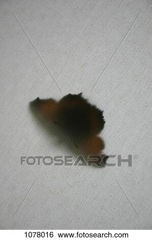 A butterfly on fabric View Large Photo Image Stock Photograph - A butterfly on fabric. Fotosearch