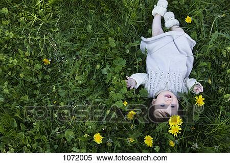 A cheerful baby girl lying in the grass, looking up View Large Photo Image Stock Photography - A cheerful baby girl lying in the grass, looking up. Fotosearch