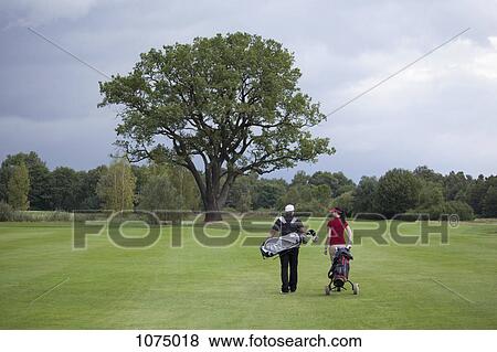 Stock Photo - A female and male golfer walking with their golf bags, rear view. Fotosearch