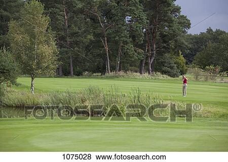 A female golfer teeing off in the distance View Large Photo Image Stock Photo - A female golfer teeing off in the distance. Fotosearch