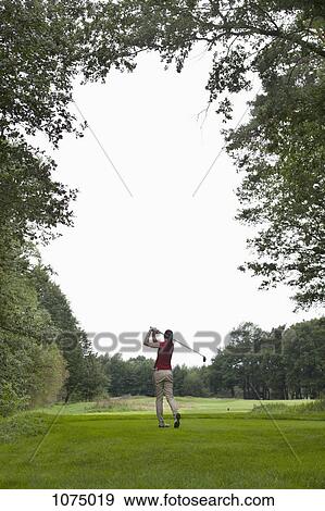 A female golfer teeing off, rear view View Large Photo Image Stock Photo - A female golfer teeing off, rear view. Fotosearch
