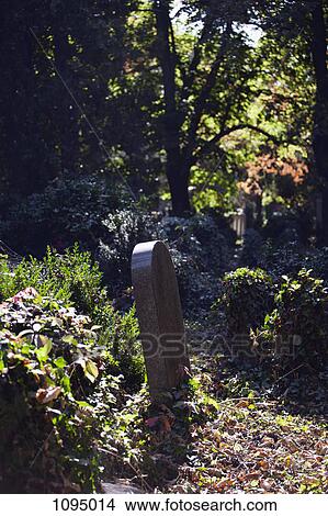 A gravestone in a cemetery, Vienna, Austria View Large Photo Image Picture - A gravestone in a cemetery, Vienna, Austria. Fotosearch