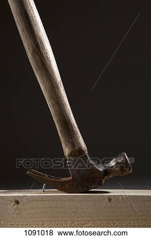 A hammer removing a nail from a wood beam View Large Photo Image Stock Photo - A hammer removing a nail from a wood beam. Fotosearch