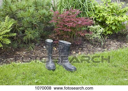 A pair of rubber boots left on the grass View Large Photo Image Stock Photo - A pair of rubber boots left on the grass. Fotosearch