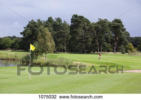 A putting green with flag, golfer swinging in distance View Large Photo Image Stock Image - A putting green with flag, golfer swinging in distance. Fotosearch