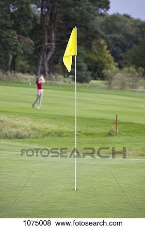 Stock Photo - A putting green with flag, golfer swinging in distance. Fotosearch