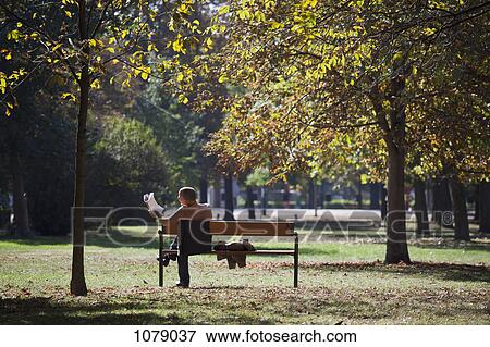 A shirtless businessman reading a newspaper on a park bench View Large Photo Image Stock Photo - A shirtless businessman reading a newspaper on a park bench . Fotosearch