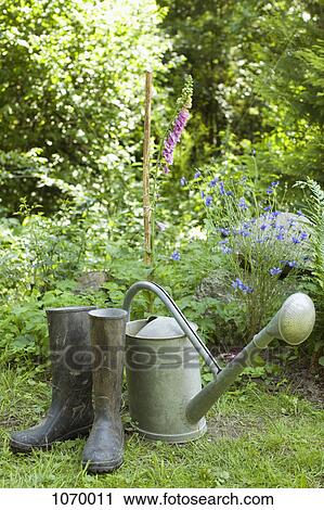 A watering can and a pair of rubber boots, outdoors View Large Photo Image Stock Image - A watering can and a pair of rubber boots, outdoors. Fotosearch
