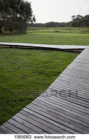 A wooden footbridge over grass in a remote location View Large Photo Image Stock Image - A wooden footbridge over grass in a remote location. Fotosearch