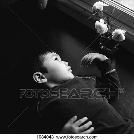 A young boy lying next to a vase of roses, staring out window View Large Photo Image Stock Image - A young boy lying next to a vase of roses, staring out window. Fotosearch