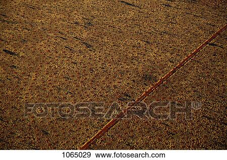 Stock Photo - Aerial view of a dirt road positioned in a remote landscape. Fotosearch