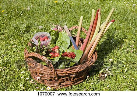 Basket of fresh fruit and vegetables View Large Photo Image Stock Photo - Basket of fresh fruit and vegetables. Fotosearch