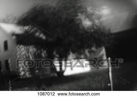 Blurred focus of a tree and white house View Large Photo Image Stock Image - Blurred focus of a tree and white house. Fotosearch