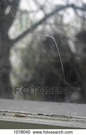 Detail of a crack in a window View Large Photo Image Stock Image - Detail of a crack in a window. Fotosearch