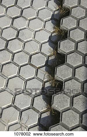 Stock Image - Detail of a ruptured pavement. Fotosearch