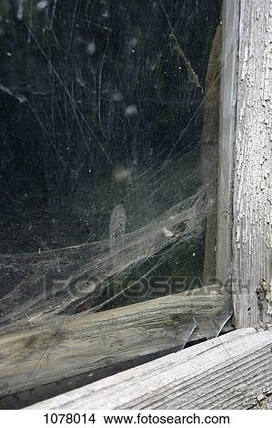Detail of cobwebs on a an old window View Large Photo Image Picture - Detail of cobwebs on a an old window. Fotosearch