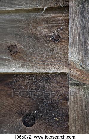 Stock Image - Detail of cobwebs on a wooden wall. Fotosearch