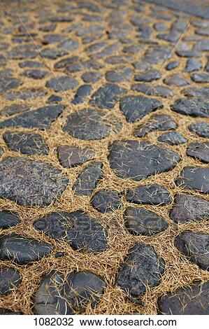Stock Image - Fallen pine needles between the cobbles. Fotosearch