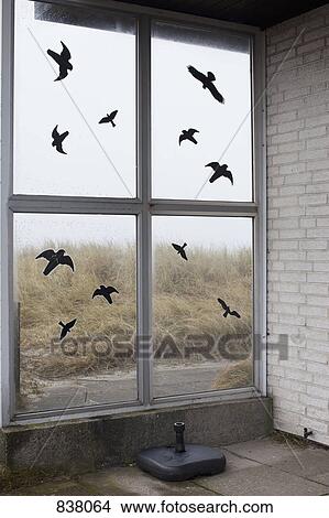 Flock of black birds painted on window View Large Photo Image Picture - Flock of black birds painted on window. Fotosearch