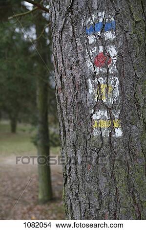 Four flags of similar pattern painted on tree trunk View Large Photo Image Picture - Four flags of similar pattern painted on tree trunk. Fotosearch