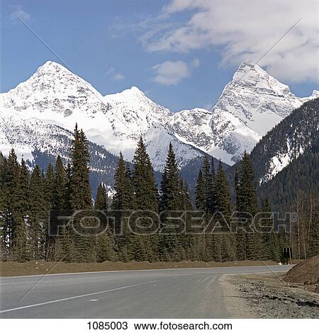 Highway going towards majestic mountain range, Golden, British Columbia, Canada View Large Photo Image Stock Image - Highway going towards majestic mountain range, Golden, British Columbia, Canada. Fotosearch