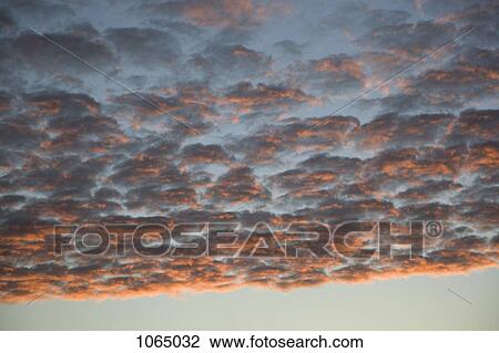 Stock Image - Many cumulus clouds covering the sky at dusk. Fotosearch