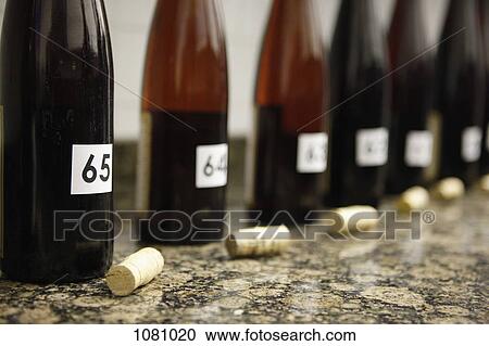 Row of numbered uncorked bottles of wine set up for wine tasting View Large Photo Image Stock Image - Row of numbered uncorked bottles of wine set up for wine tasting. Fotosearch