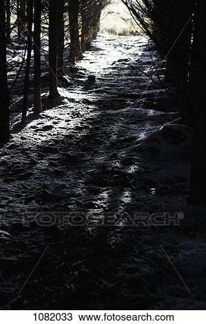 Stock Image - Shadowed river with trees on either side. Fotosearch