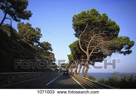 Stock Image - View from a car driving on a coastal road. Fotosearch