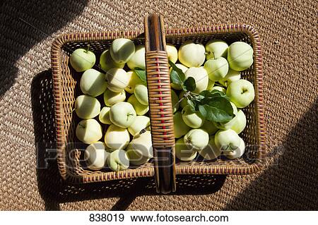 Wicker basket of green apples View Large Photo Image Stock Photo - Wicker basket of green apples. Fotosearch