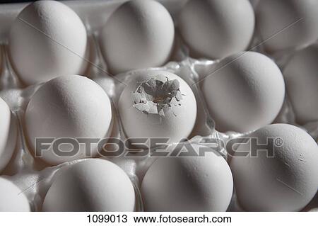 A broken egg amongst eggs in a carton View Large Photo Image Stock Image - A broken egg amongst eggs in a carton. Fotosearch
