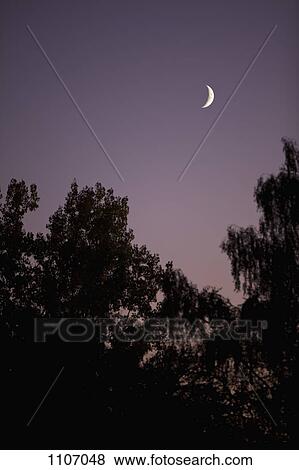 A crescent moon at dusk View Large Photo Image Stock Photo - A crescent moon at dusk. Fotosearch