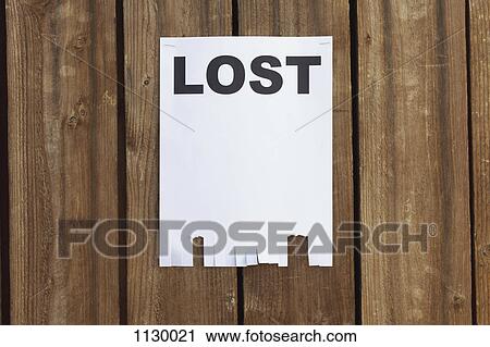 A flyer posted on a wooden fence with the word LOST on it View Large Photo Image Stock Image - A flyer posted on a wooden fence with the word LOST on it. Fotosearch
