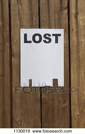 A flyer posted on a wooden fence with the word LOST on it View Large Photo Image Stock Photo - A flyer posted on a wooden fence with the word LOST on it. Fotosearch