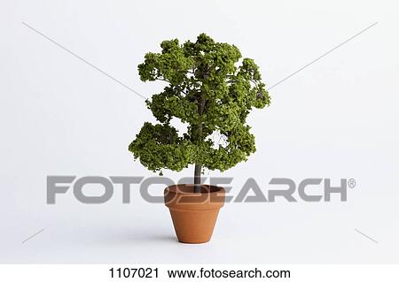 A miniature potted plant View Large Photo Image Stock Image - A miniature potted plant. Fotosearch