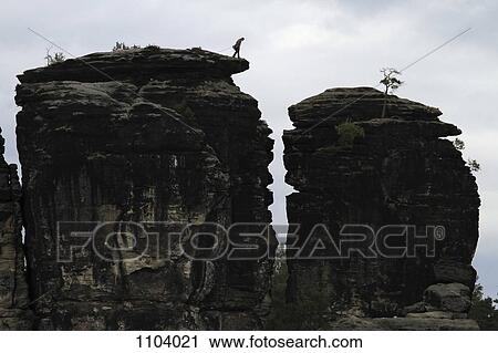 A person preparing to rappel down a rock formation, Saxon Switzerland, Saxony, Germany View Large Photo Image Stock Image - A person preparing to rappel down a rock formation, Saxon Switzerland, Saxony, Germany. Fotosearch