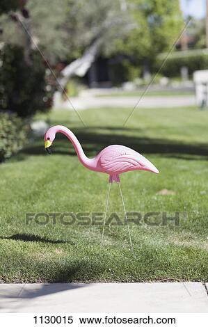A plastic pink flamingo stuck in a lawn, close-up View Large Photo Image Stock Photography - A plastic pink flamingo stuck in a lawn, close-up. Fotosearch