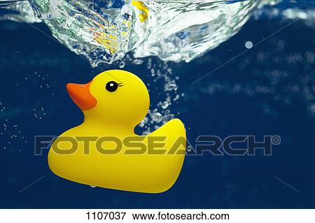 A rubber duck underwater View Large Photo Image Stock Photo - A rubber duck underwater. Fotosearch